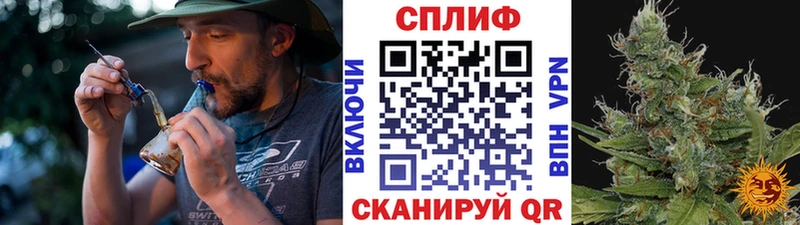 МЕФ Бирюч