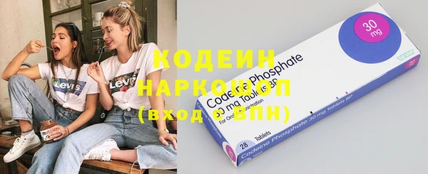 гашик Арсеньев