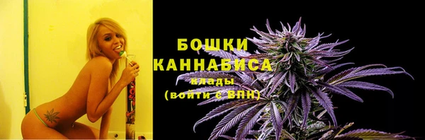 дмт Медногорск