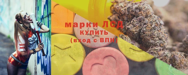 гашик Арсеньев