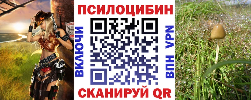 Купить где  Бирюч  Псилоцибиновые грибы Magic Shrooms 
